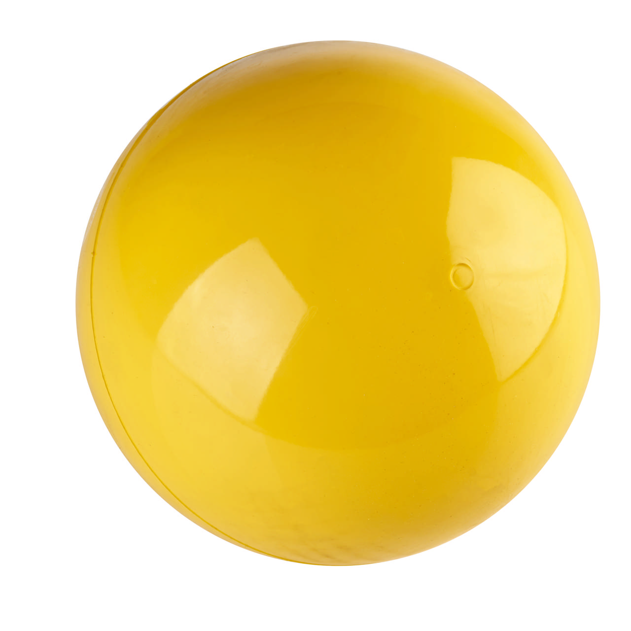 Gymnastikboll LedraPlastic
