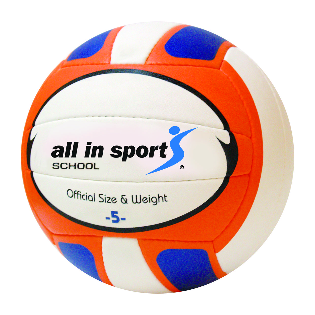 Volleyboll ALL IN SPORT School