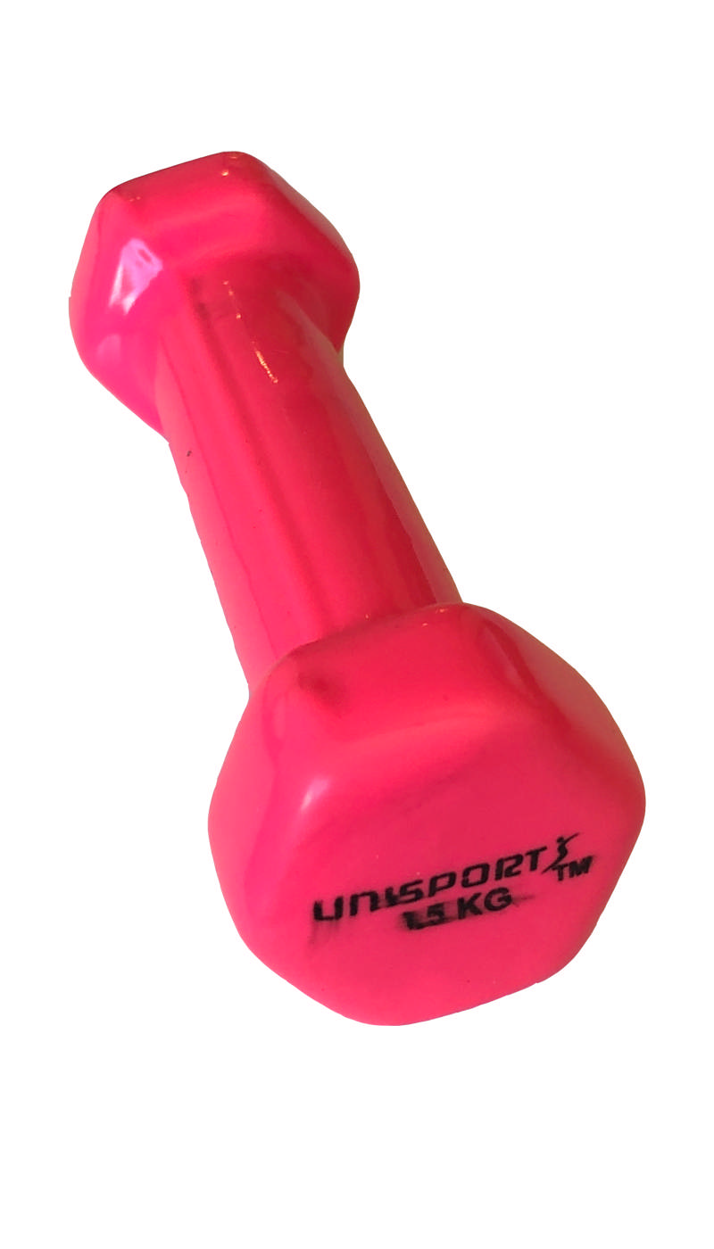 Hantel ALL IN SPORT Vinyl