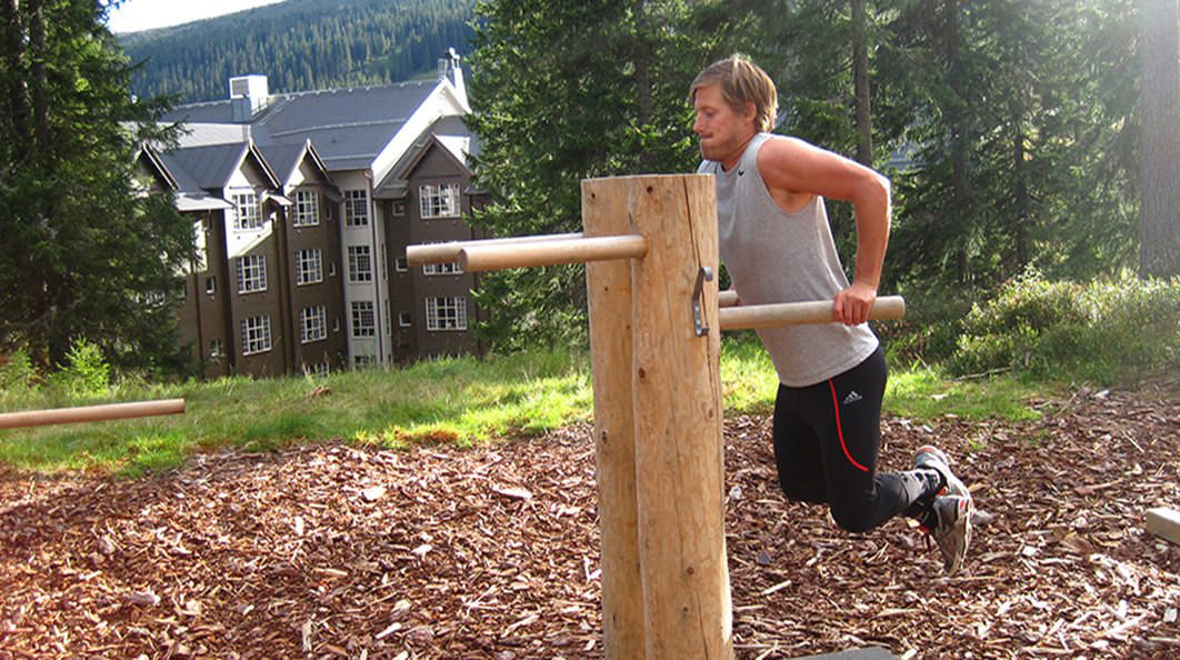 Dips