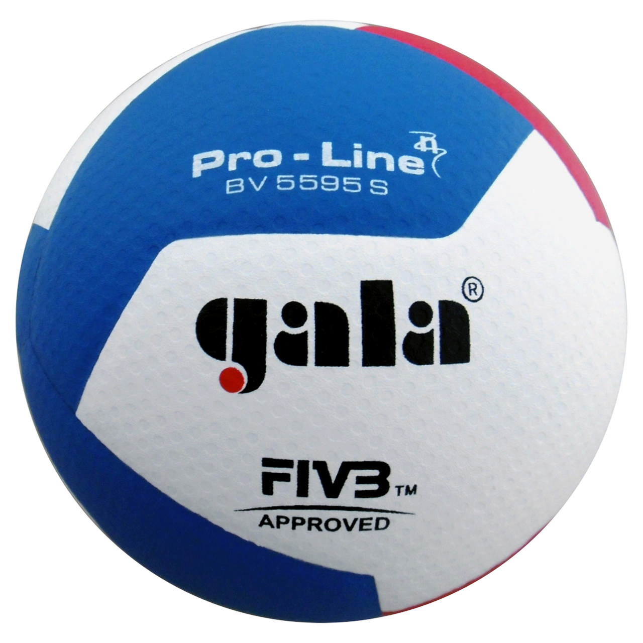 Volleyboll GALA Pro-Line BV5595S