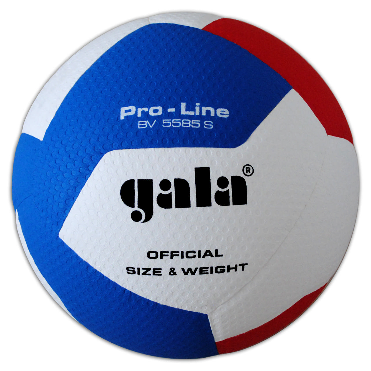 Volleyboll GALA Pro-Line BV5585S