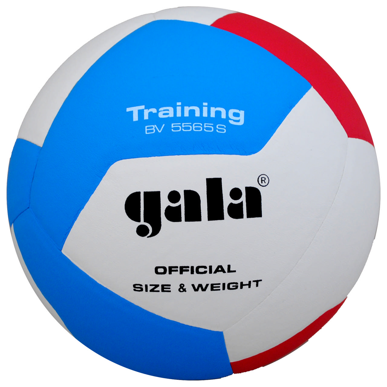 Volleyboll GALA Training 5565S