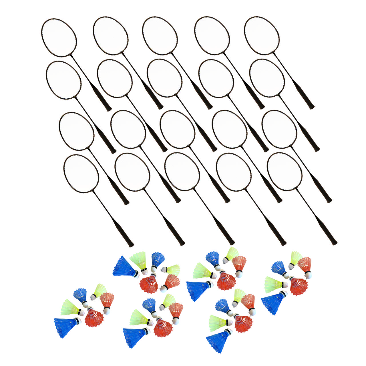 Badmintonset School